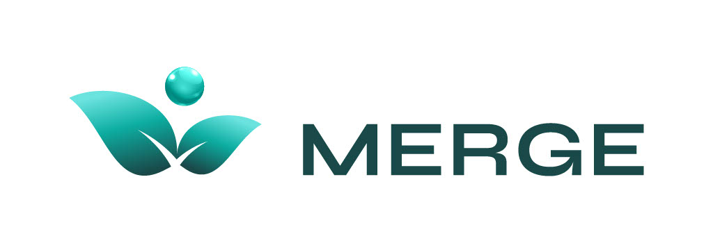 Merge Merge